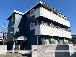 ブロードフラットの画像