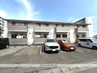 レセンテ ミーテの画像