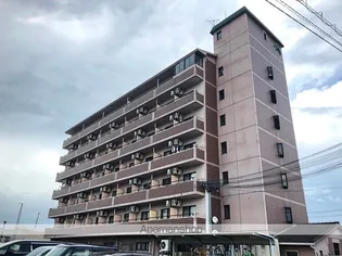 マイリーアンの画像