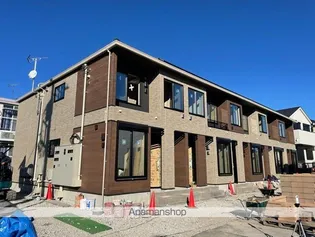 アンシエントの画像