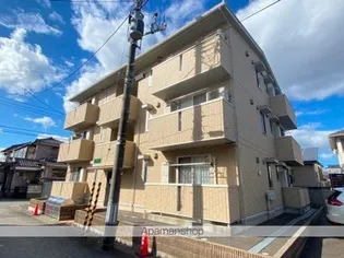 オリーブIIの画像