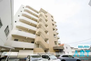 第100杉フラットの画像