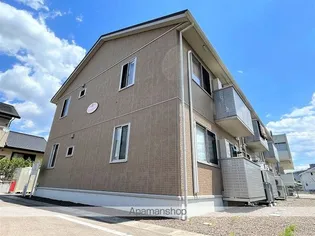 パインメイプルIIIの画像