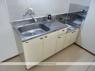 サンシティ沖野B【201号室】のキッチン