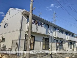 チッチとポッポBの画像