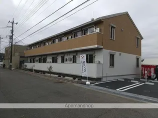 ピアチェーレの画像