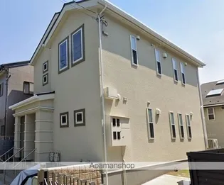 フェリセス コヒナタの画像