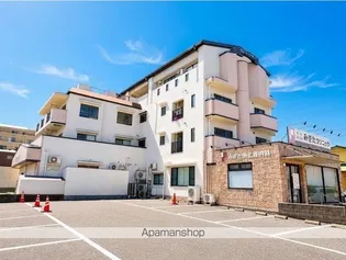 ハンリーラ円入の画像