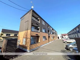 PETRICAの画像
