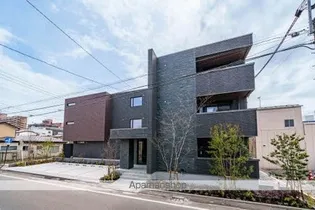 プレミアム虎丸の画像