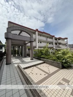 マイアネックスの画像