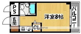 ベルネージュ峯尾【508号室】の間取り