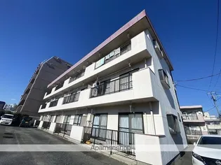 グレース秋川の画像
