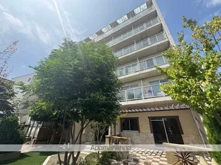 クレセントコート柏【3階】の外観