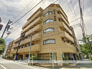 東京都中野区新井5丁目【マンション】の外観