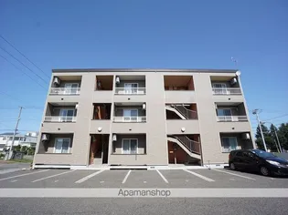 ステラIINの画像