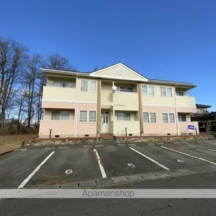 フェリスミスズの画像