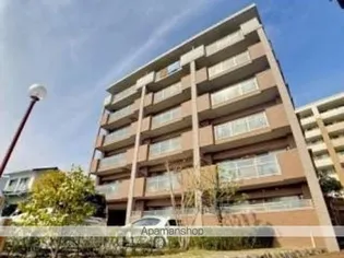 TAKA SUNRISEの画像