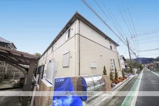 プラシードの画像