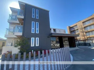 アドレコスモスの画像