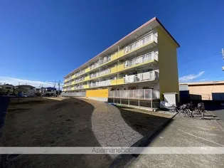 ハラッパ団地 草加2の画像