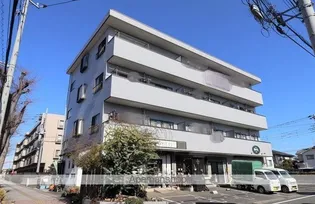 ブライトシャインの画像