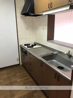 アルカディア祇園【101号室】のキッチン