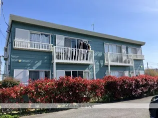 ポム ド テールA Bの画像