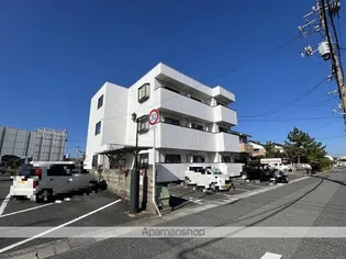ハイパッションブクリヤの画像