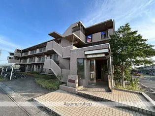 アピカールカシマの画像