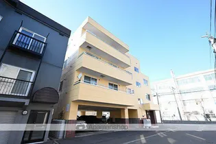 カジュアル33の画像