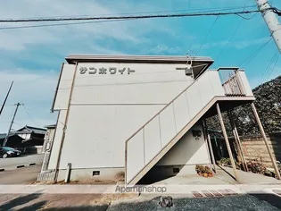 サンホワイトの画像