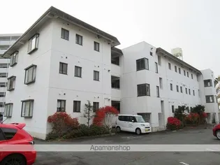 新田サンハイツ【3階】の外観