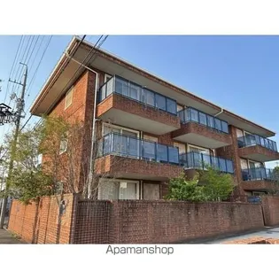 アモーレ季樹の画像