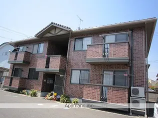 サンライトカンタの画像