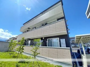M SOLANAの画像