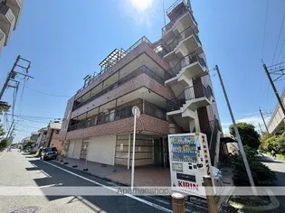マリーナテイスティの画像