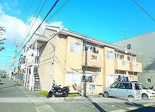 パール鈴の画像