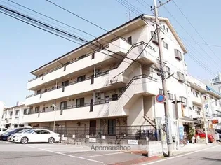 ベルーガエムケイの画像