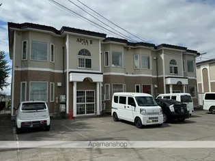 APIAⅡの画像