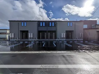 プリムラIIの画像