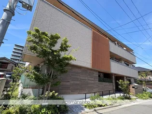 ヘルト シュタイン 堺東の画像