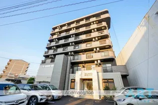 ボンデパールの画像