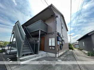 サンフラワーの画像