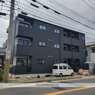プライマリー花畑の画像