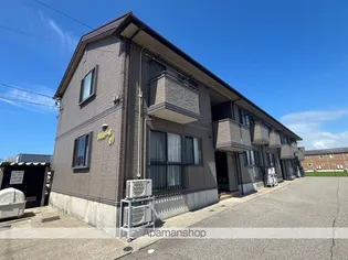 パルムドール01の画像