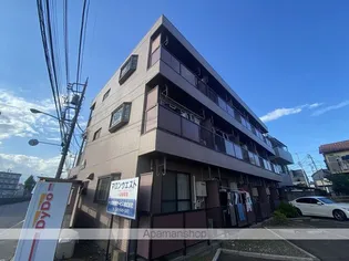 マロンウエストの画像