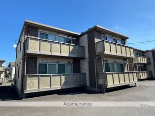 マルベリーAの画像
