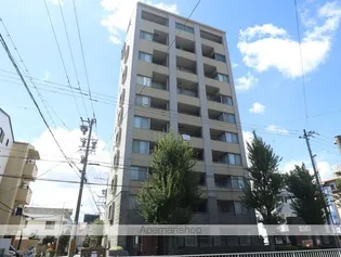 オスマンサスフラグランスの画像