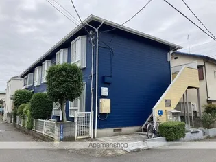 アムール柏の画像